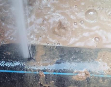 新乐卫生间防水哪家好